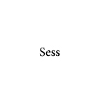 Компания "Sess"